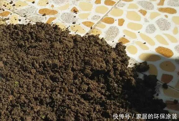 虫子|养花土,用一个塑料袋,轻松杀虫灭菌,花盆里一个虫子都没有