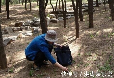 养花用“黄豆肥”臭味浓踏青捡点“万能肥”,无臭味、养啥都旺