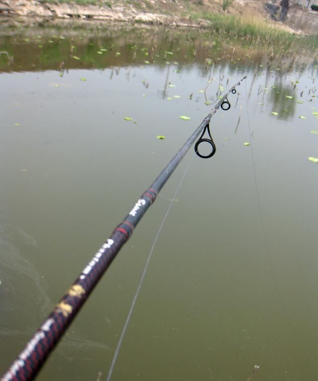 用活饵“路亚”鲫鱼,爆连大板鲫却引争议,这算什么新钓法?