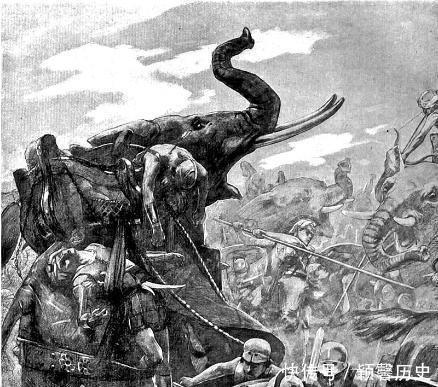 三大|征服世界三大文明古国的马其顿方阵，为何最后会惨败给罗马