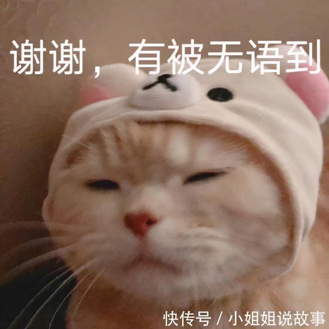 |搞笑表情包更新:再坚持坚持,一辈子很快就过去了