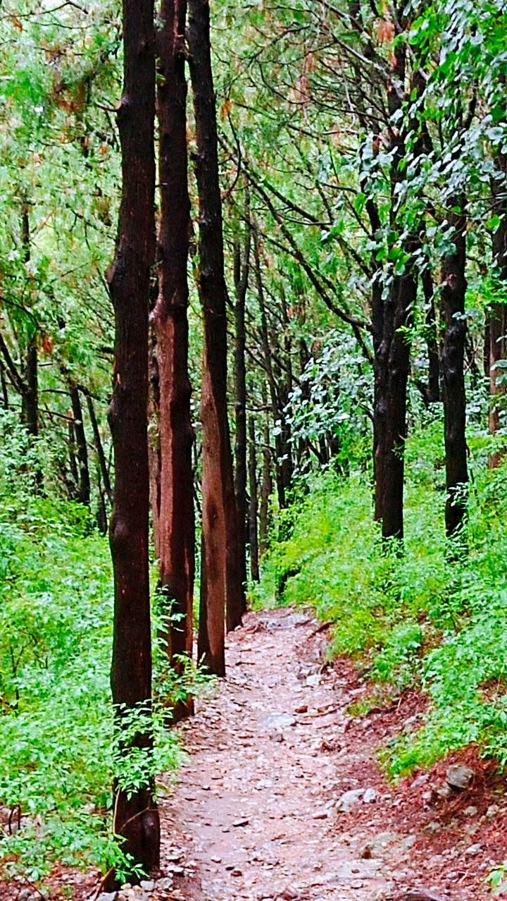 好山|山上的生活｜秋雨登高，好山好景看不尽