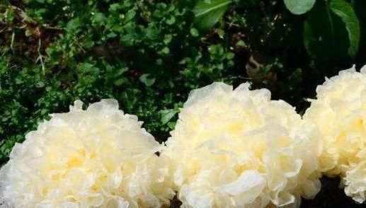  龙虾|人到中年推荐常吃四种食物，祛皱养颜，排除体内毒素