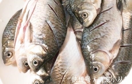 秋后碰到我从不还价的鱼，一买就是5斤，营养极高，煎着吃特香