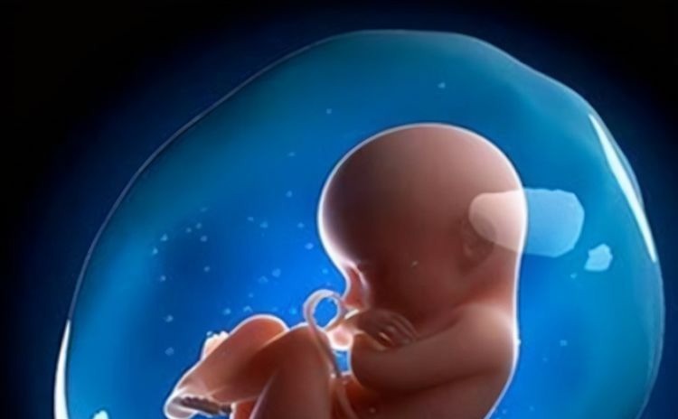 陪产|90后宝妈生出“果冻宝宝”,陪产宝爸吓得脸发白,医生却说:恭喜