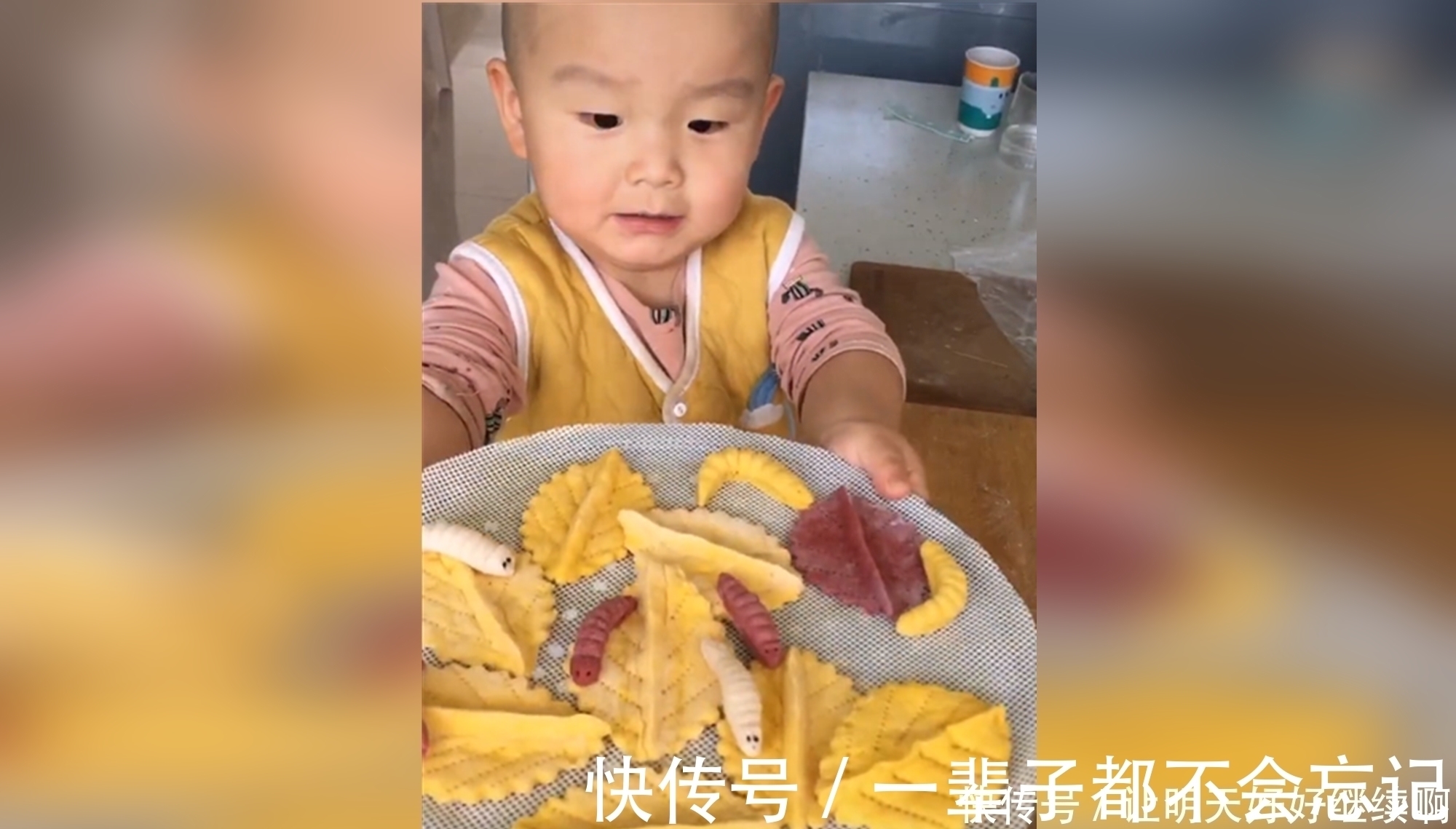 孩子|2岁男孩因蒸馒头“技术高”走红,尿不湿还没脱就学起了麻辣德子