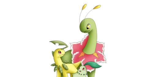 口袋妖怪黑2口袋妖怪属性