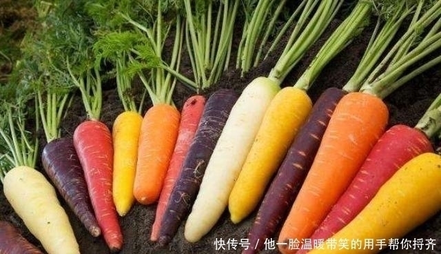 奶油蛋糕|吃一次需要孩子消化半个月,父母需要知道,这样喂孩子等于毁孩子!