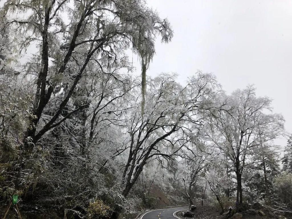 地方|汶川下雪了！这些地方，你最想去哪个？