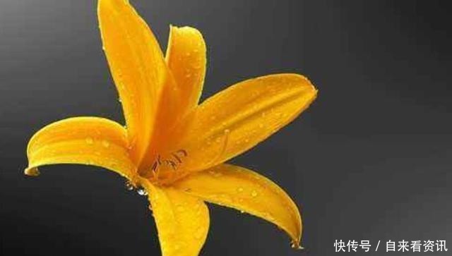 三件|做好这三件事,家庭的幸福不请自来