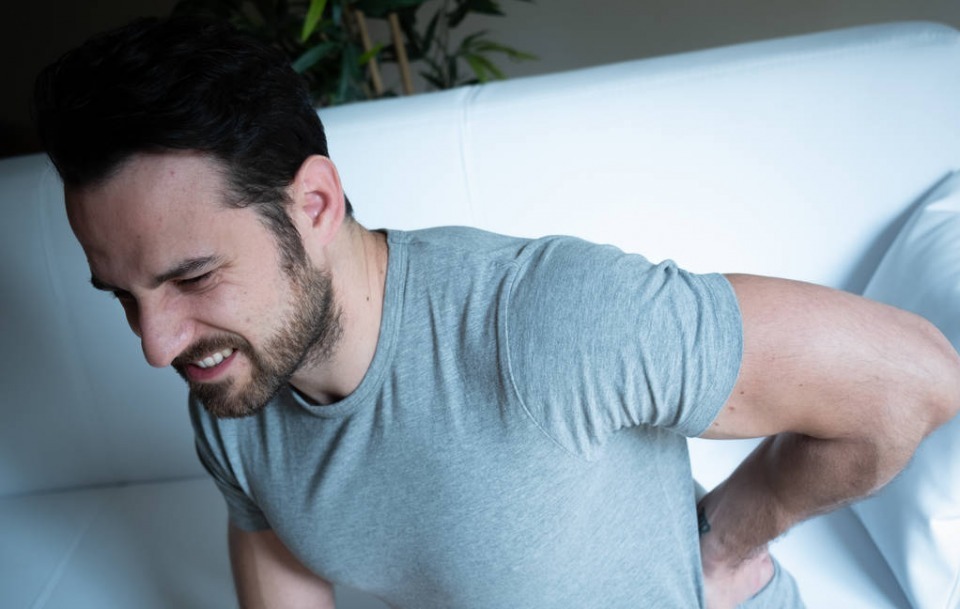 桑葚|四味“阴阳双补”的草药,当“零嘴”吃,守住体内阳气