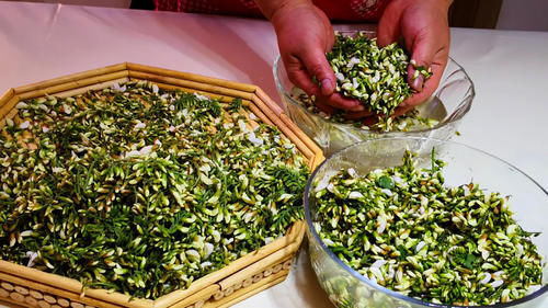 炒蛋|这些野菜不怕过期,遇到一次买10斤,能吃到冬季,炒蛋做汤都特鲜