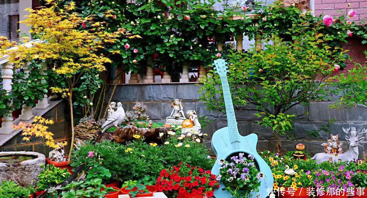 高手公认“最难养”的4款花卉，你家有吗？