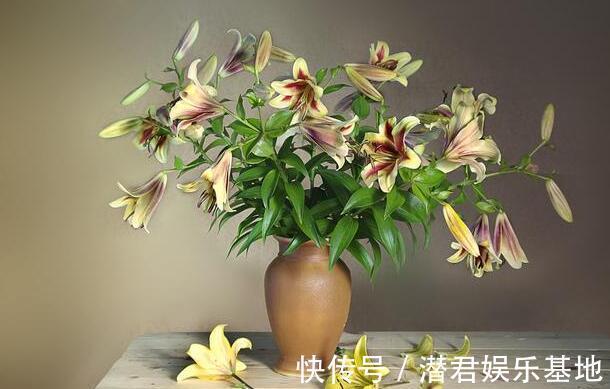 2种“霉运花”不要养家里，虽说无伤大雅，却安全“隐患”多