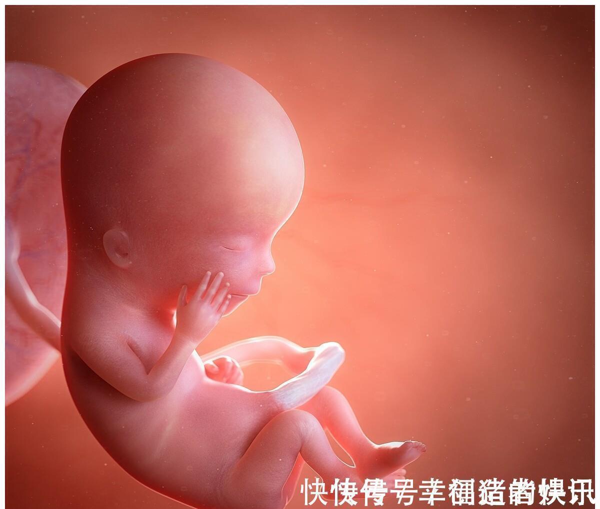 子宫|到了孕晚期准妈妈要是这几个部位出现了疼痛感，就表明胎儿要出来