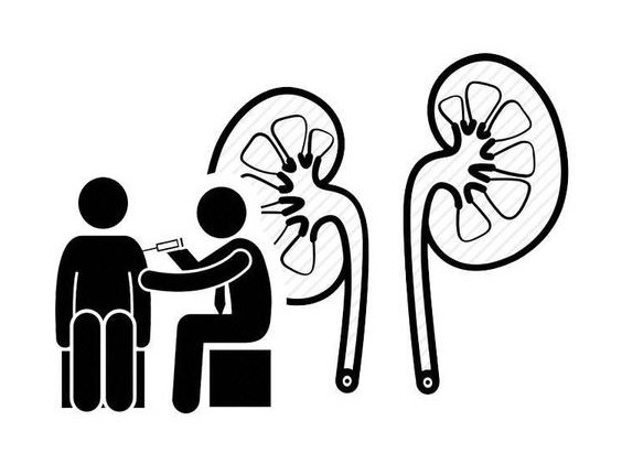 肾脏|身体4大器官,喜好各不相同!想保养它们,先了解这些知识