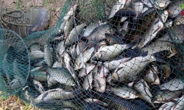 饵料|图解冬钓鲫鱼调漂步骤,天寒地冻鱼口轻,浮漂就应该这么调!