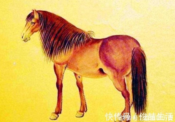 子女|夫妻有人是此属相,家和万事吉,子女为龙凤,几代人有福气