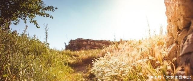 阳历2月7号是什么星座