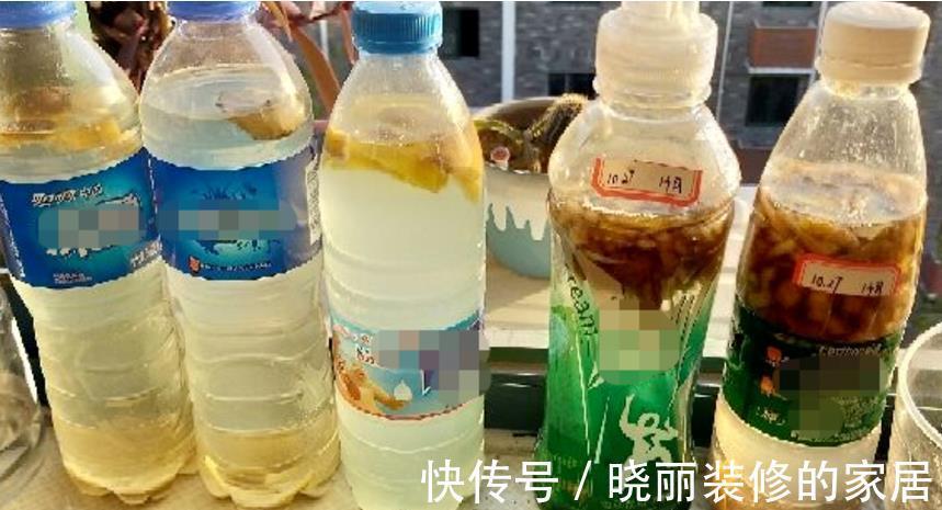 养花|养花浇水是门学问,不讲究迟早要吃大亏,别再随意用了