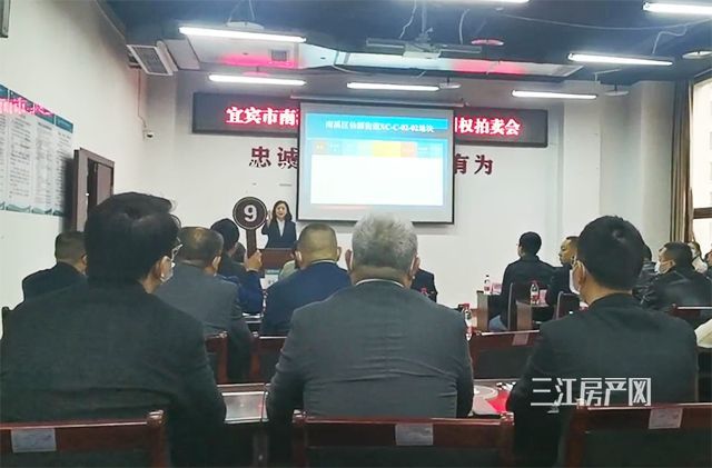 地块|5家竞买人，4920元/㎡成交！丽雅成功拿下南溪69亩地