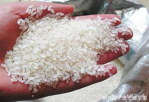 精盐|大米生虫不要晒,超市员工教您3招,大米放一年也不生虫