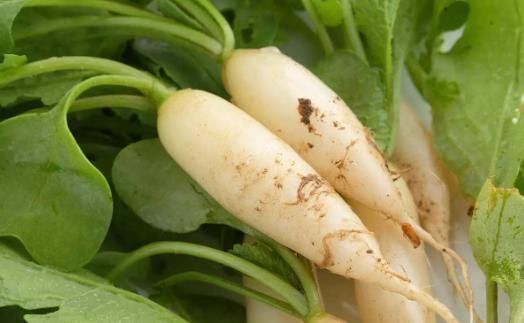 卷心菜|4种食物是“结节帮凶”,日常最好少碰,甲状腺结节会感谢你