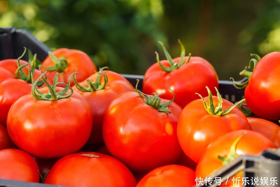 女人过了40岁，再节俭也要吃下面的“土燕窝”，健康苗条养颜！