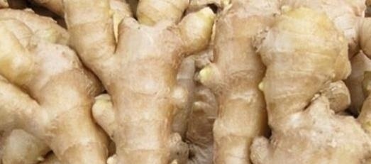 买来的生姜别放冰箱，会很快坏掉，教你一招，存放半年依然新鲜