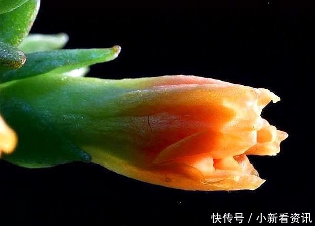 老祖宗|“命自我立,福自我求”记住老祖宗的这几句忠告,福报不请自来