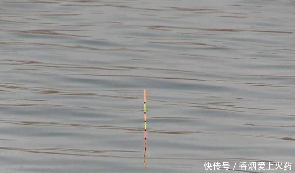 冬季钓鲫鱼，这些漂相是有效漂相，出现赶紧提竿，注意抓小放大