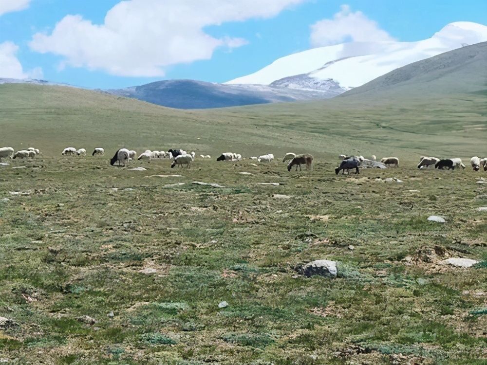 贺兰山煤层自燃300年，每年烧掉10亿元，为什么不用水扑灭？