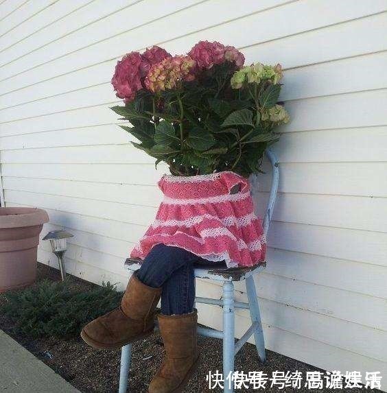 花盆|他用这东西养花,把半夜踩点的小偷吓半死,长势旺到不行!