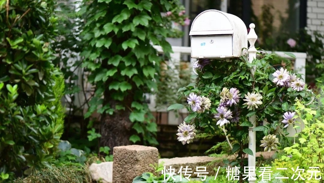 王俐|服装设计师兼花园设计师,裁剪最美的花园时光