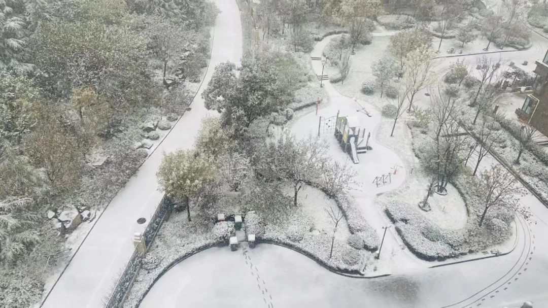 停运|如约而至！山东今冬第一场雪发货了！