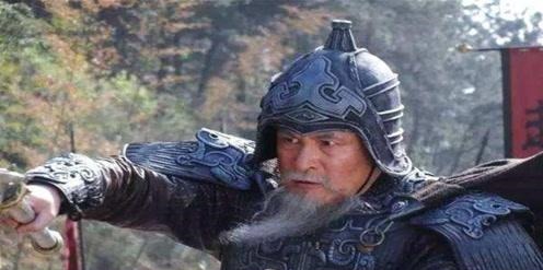 老将|蜀军两员大将接连被杀,一老将大喝一声将其斩杀,诸葛亮高兴呀