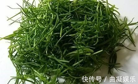 维生素存储器|想要排毒养颜，可常食以下食物，清热消脂，减肥瘦身，美容养颜