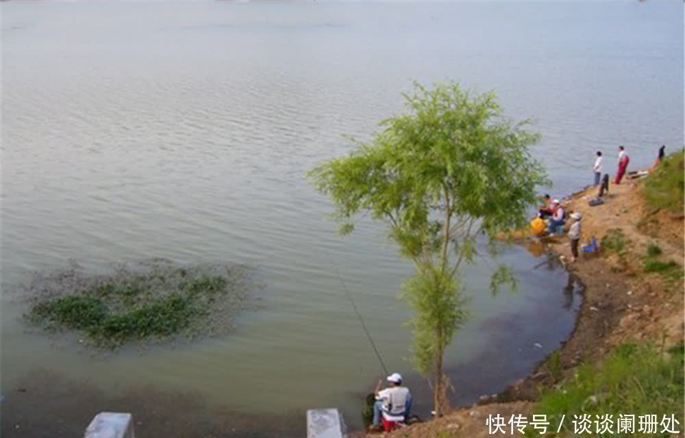 季节|野钓选择钓位，凭借的是鱼类的“三趋”，按照习性来，位置差不了