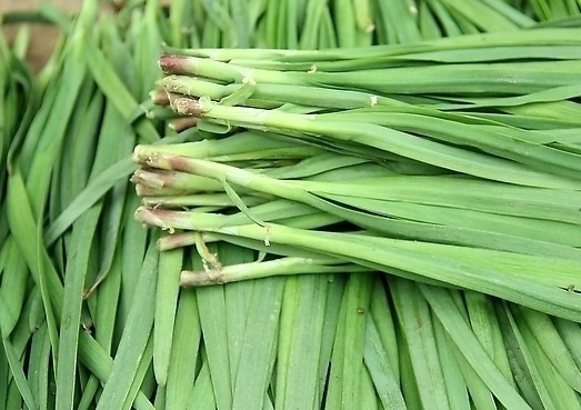 肠道|韭菜虽好,但2类人切忌别吃,尤其是第二种,嘴馋也不要吃