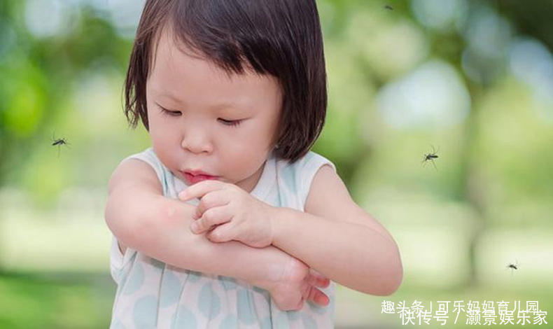 伤害|防蚊虫大作战，宝妈积极做好3步，宝宝肌肤免受伤害