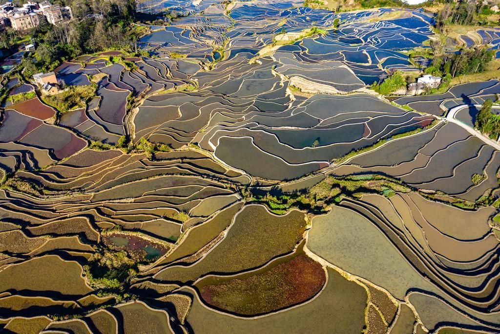 壮美元阳梯田，哈尼族人的大地艺术杰作