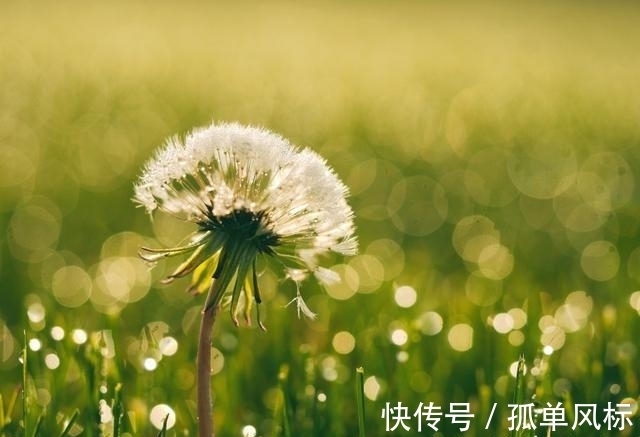 旧爱|7天过后，人旺财旺，桃花将至，历经坎坷，旧爱归回，不相离