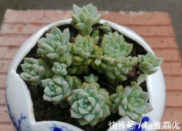 切割机|花盆买不起,自己动手做,好看又实用!花盆买不起,自己动手做,好看又实用!