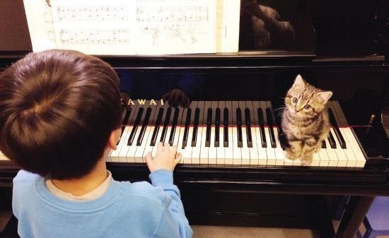 兴趣爱好|有儿子的家庭,再穷也要舍得在以下5方面花钱,孩子才会更优秀