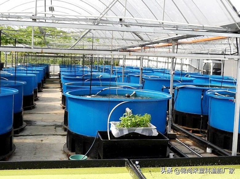 工业塑料桶能不能装水