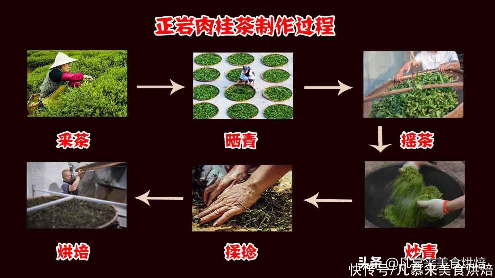  正岩肉桂属于什么茶？与大红袍有什么区别？日常饮用要注意这4项