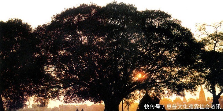 惠能并非真正的禅宗六祖,中国禅与印度禅有何区别