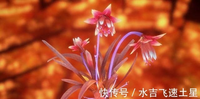 武魂|斗羅大陸獨孤博害怕的三樣東西,一樣祖傳無解,兩樣世間難尋