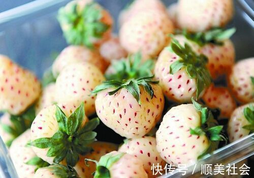 虎皮青椒|适合秋天吃的3种食物,面色红润,光彩照人,早吃早受益!