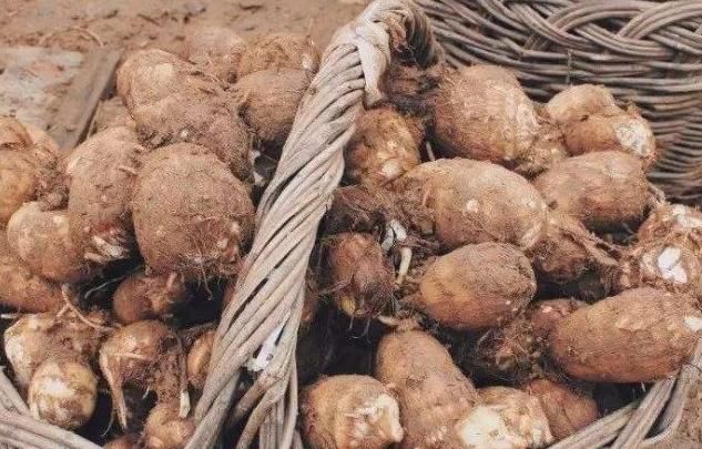 蛋黄|糖尿病人吃鸡蛋，可以吃蛋黄吗？忠告：真正要少吃的是几种常见菜